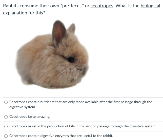 Solved Rabbits consume their own “prefeces," or cecotropes.