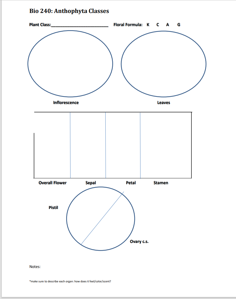 Solved there has two be two separate flowers classes such as | Chegg.com