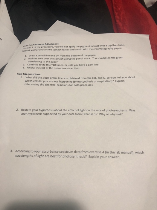 BIO 107 Lab, ace, Spring 2017 Photosynthesis