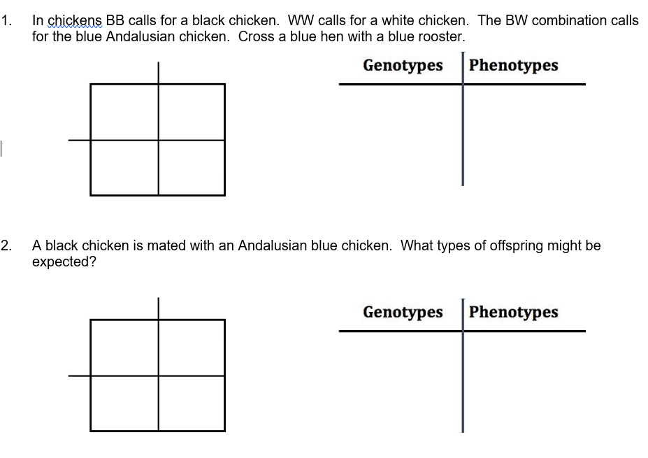 Solved 1. In chickens BB calls for a black chicken. WW calls | Chegg.com