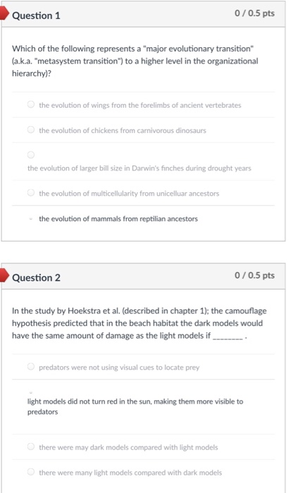 Solved Question 1 0/0.5 pts Which of the following | Chegg.com