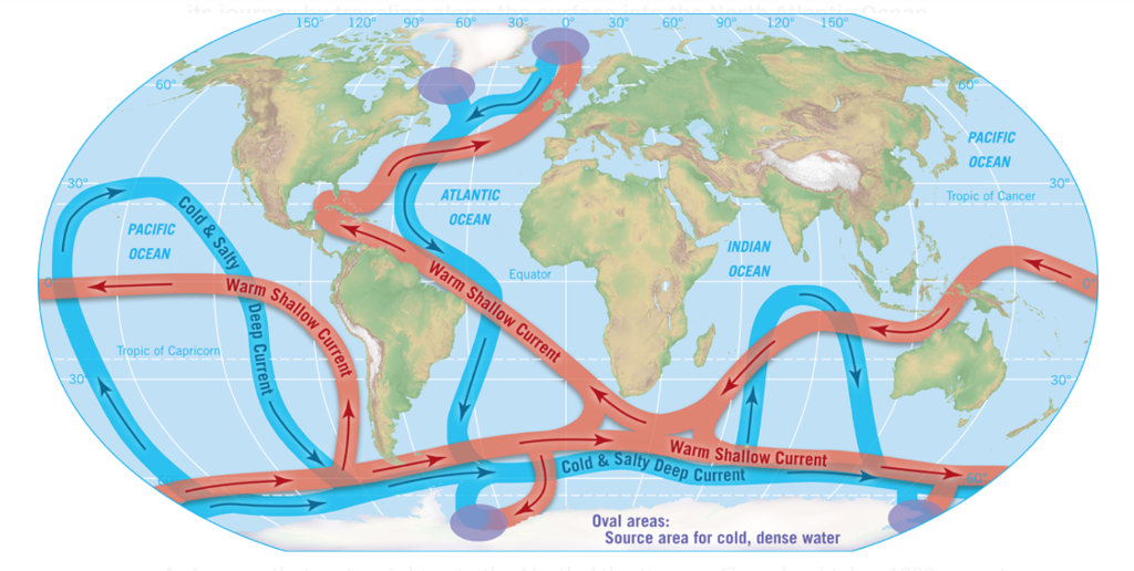 Solved Figure 12.12D is a cross section of the Atlantic | Chegg.com