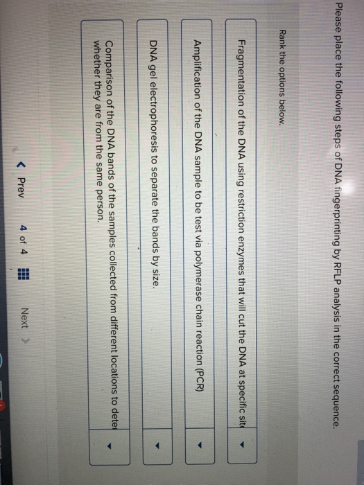 Solved Please place the following steps of DNA | Chegg.com