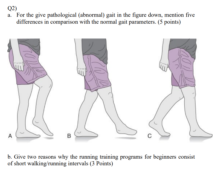 Solved Q2) A. For The Give Pathological (abnormal) Gait In | Chegg.com