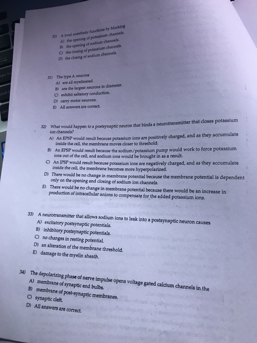 Solved local anesthetic functions by blocking A) the opening