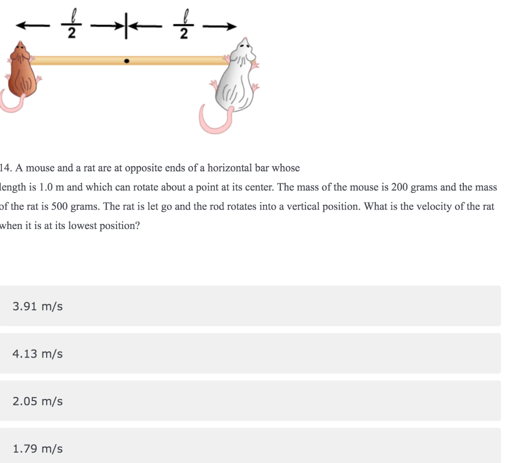 Solved f 을 14. A mouse and a rat are at opposite ends of a