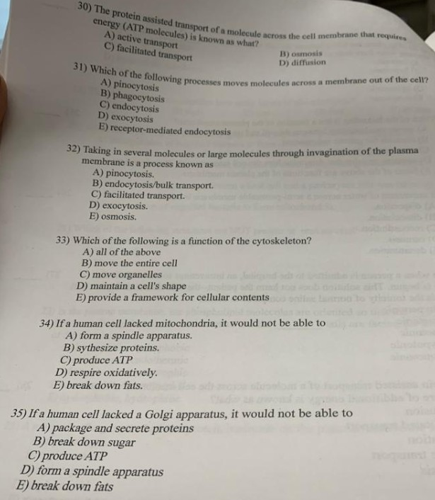 Solved 30 The Protein Assisted Transport Of A Mole Energy Chegg Com
