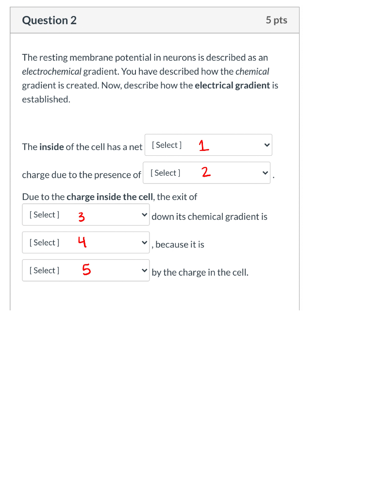 Solved Options for each number: 1 - positive or negative 2 - | Chegg.com