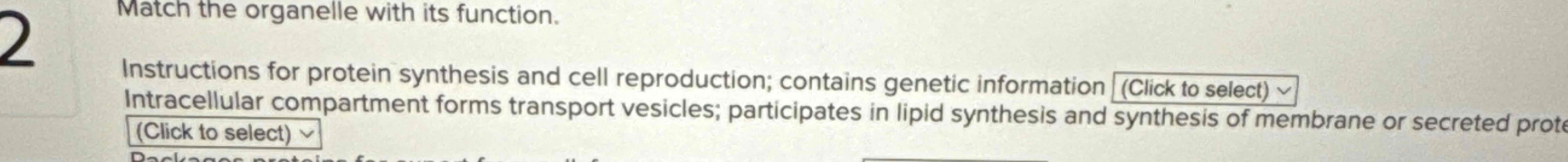 Solved Match the organelle with its function.Instructions | Chegg.com