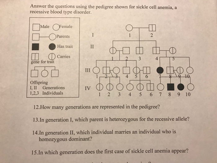 Solved Answer the questions using the pedigree shown for | Chegg.com