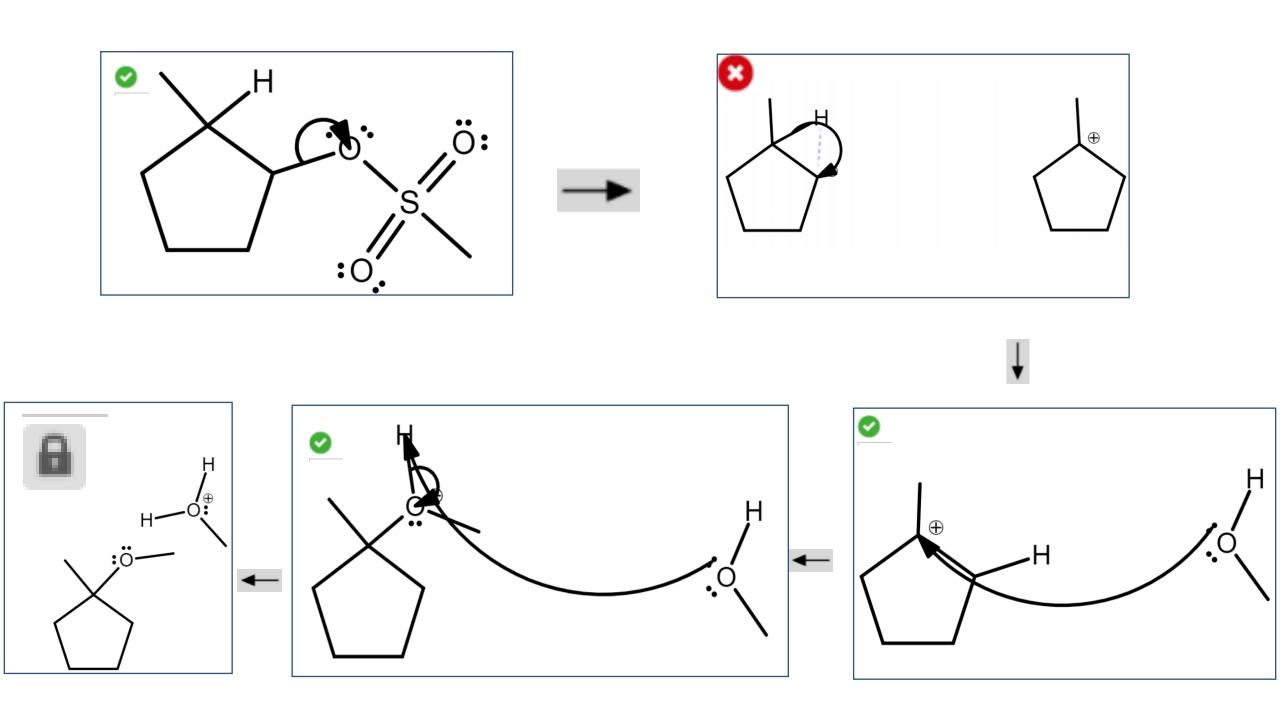 Solved 12 Question Write out the mechanism for the following | Chegg.com