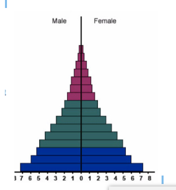 What Is An Age Structure Diagram - Wiring Site Resource