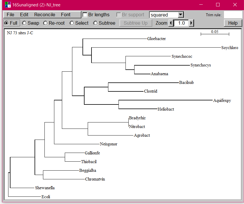 Solved Neighbor Joining Tree First Rooted An Aquifexpy A Chegg Com