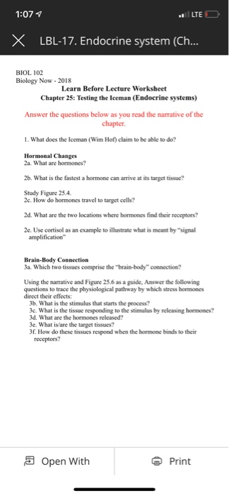 Endocrine System Worksheet Answers - Kid Worksheet Printable