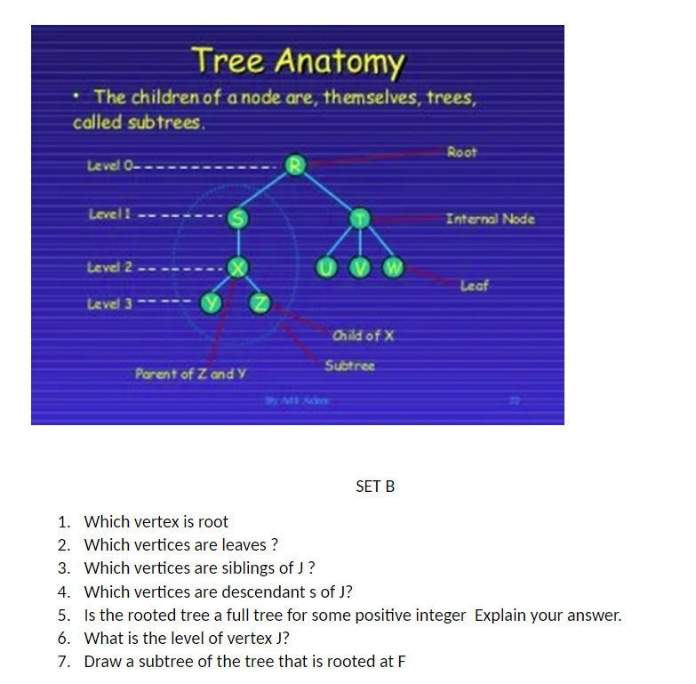 SET B
1. Which vertex is root
2. Which vertices are leaves?
3. Which vertices are siblings of \( J \) ?
4. Which vertices are