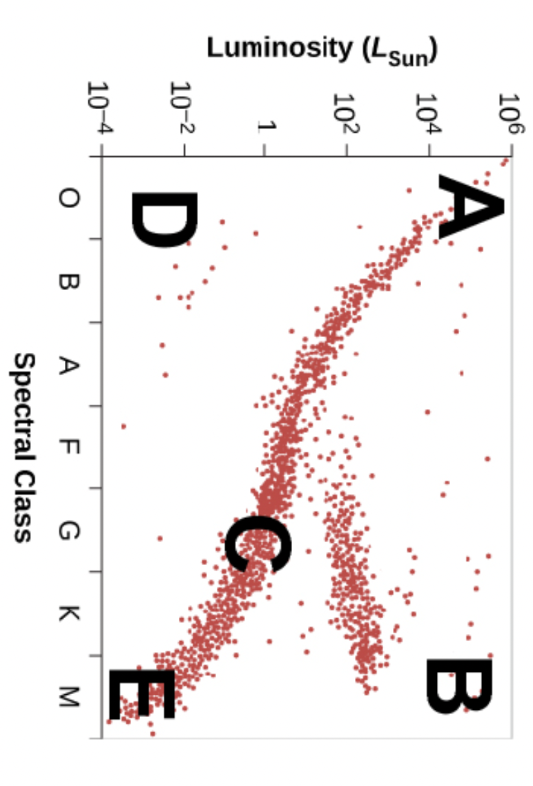 Solved Which of the five lettered positions (A – E) on the | Chegg.com