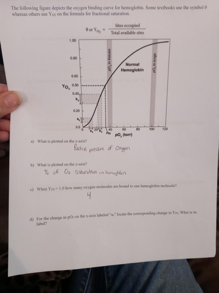 The following figure depicts the oxygen binding curve for hemoglobin. Some textbooks use the symbol \( \theta \) whereas othe