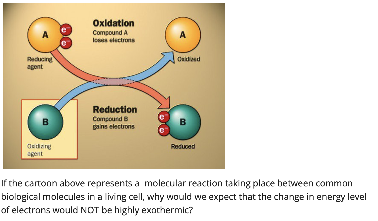 Solved A Oxidation Compound A loses electrons A Oxidized