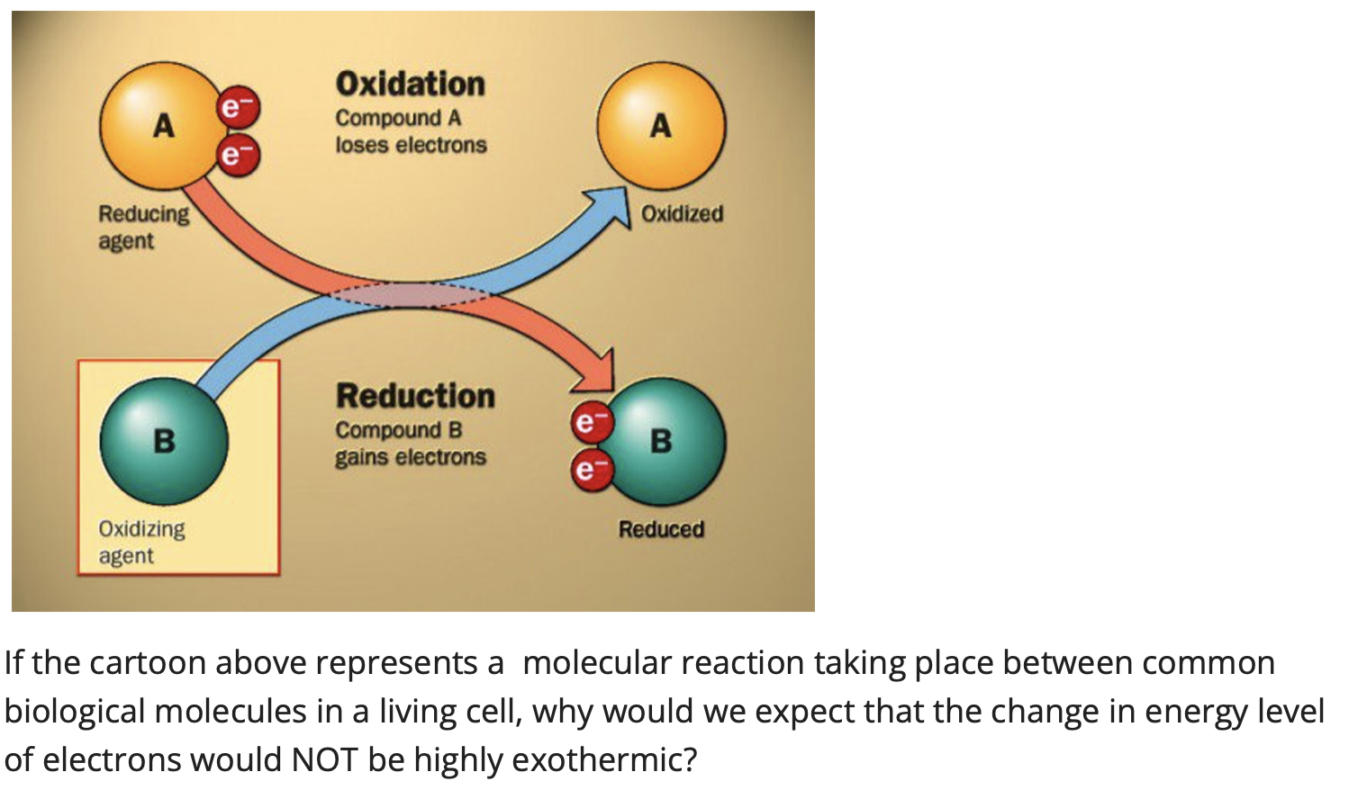 Solved A Oxidation Compound A loses electrons A Oxidized | Chegg.com