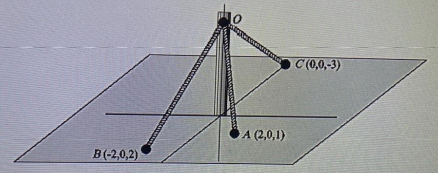 Solved The pole is 3m high, 3 ropes hold the pole to | Chegg.com