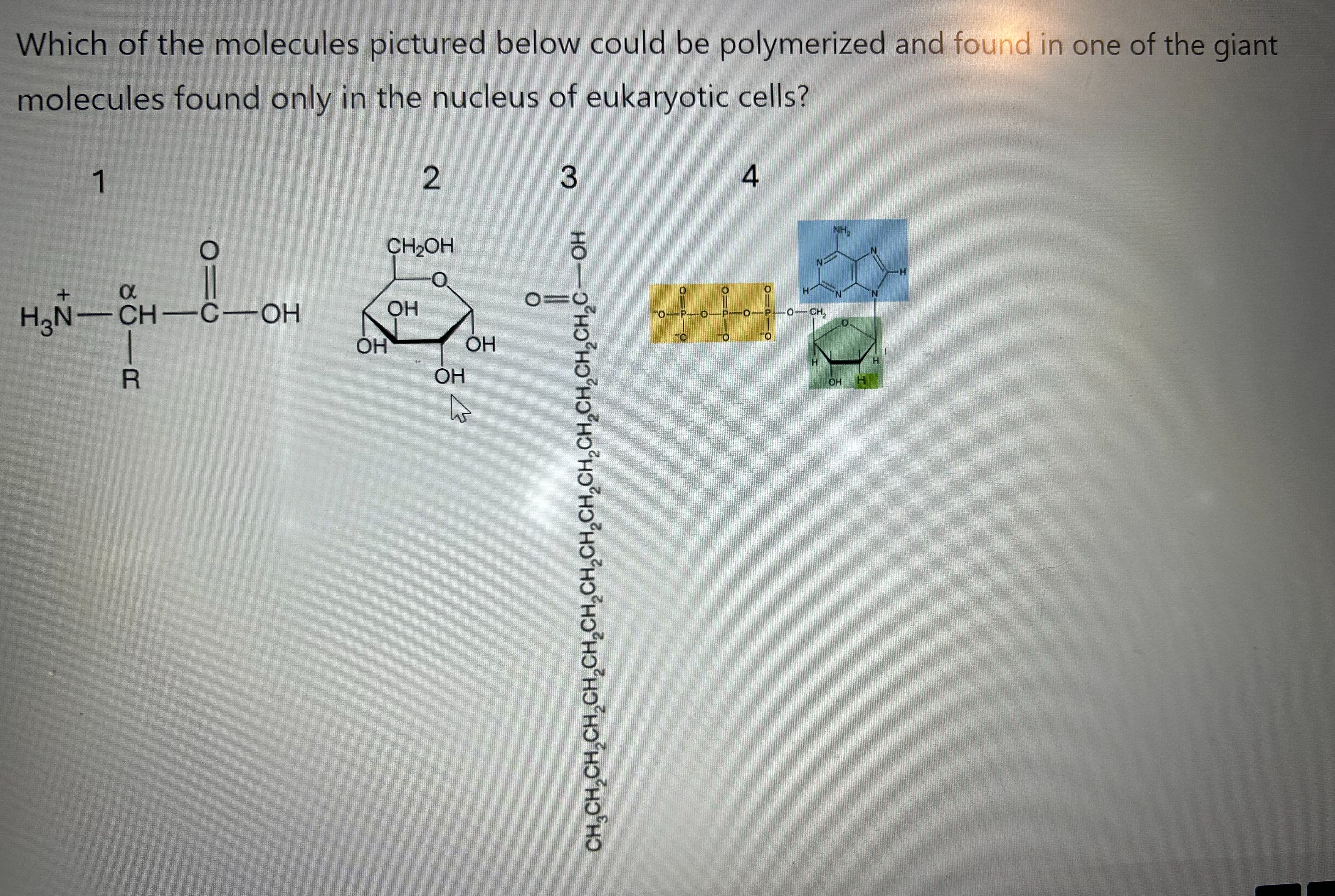 Solved Which of the molecules below can be polymerized and | Chegg.com
