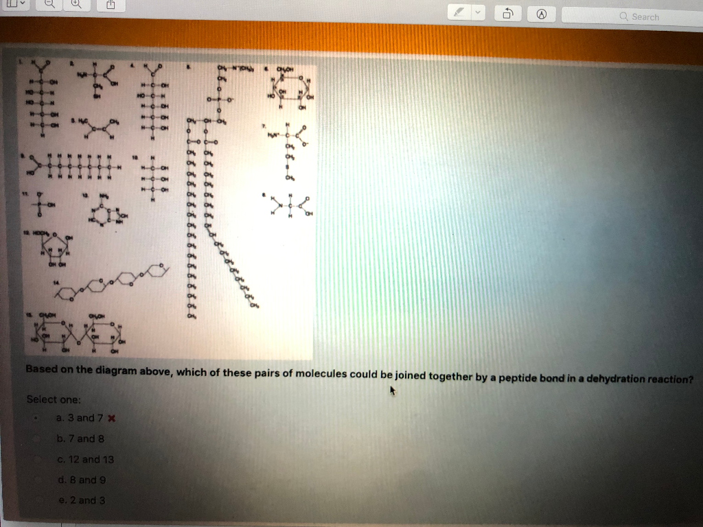 Solved Q Search Based on the diagram above, which of these | Chegg.com