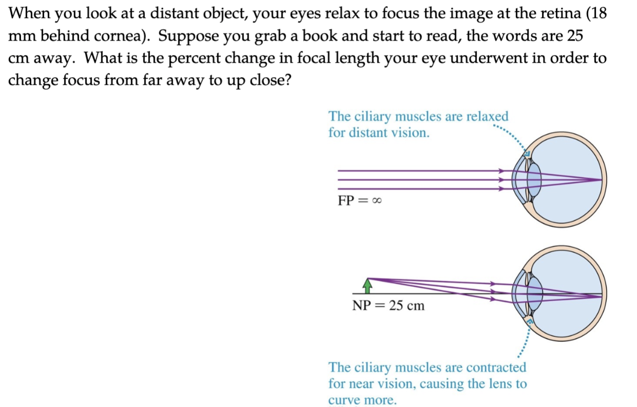 Solved When you look at a distant object your eyes relax to