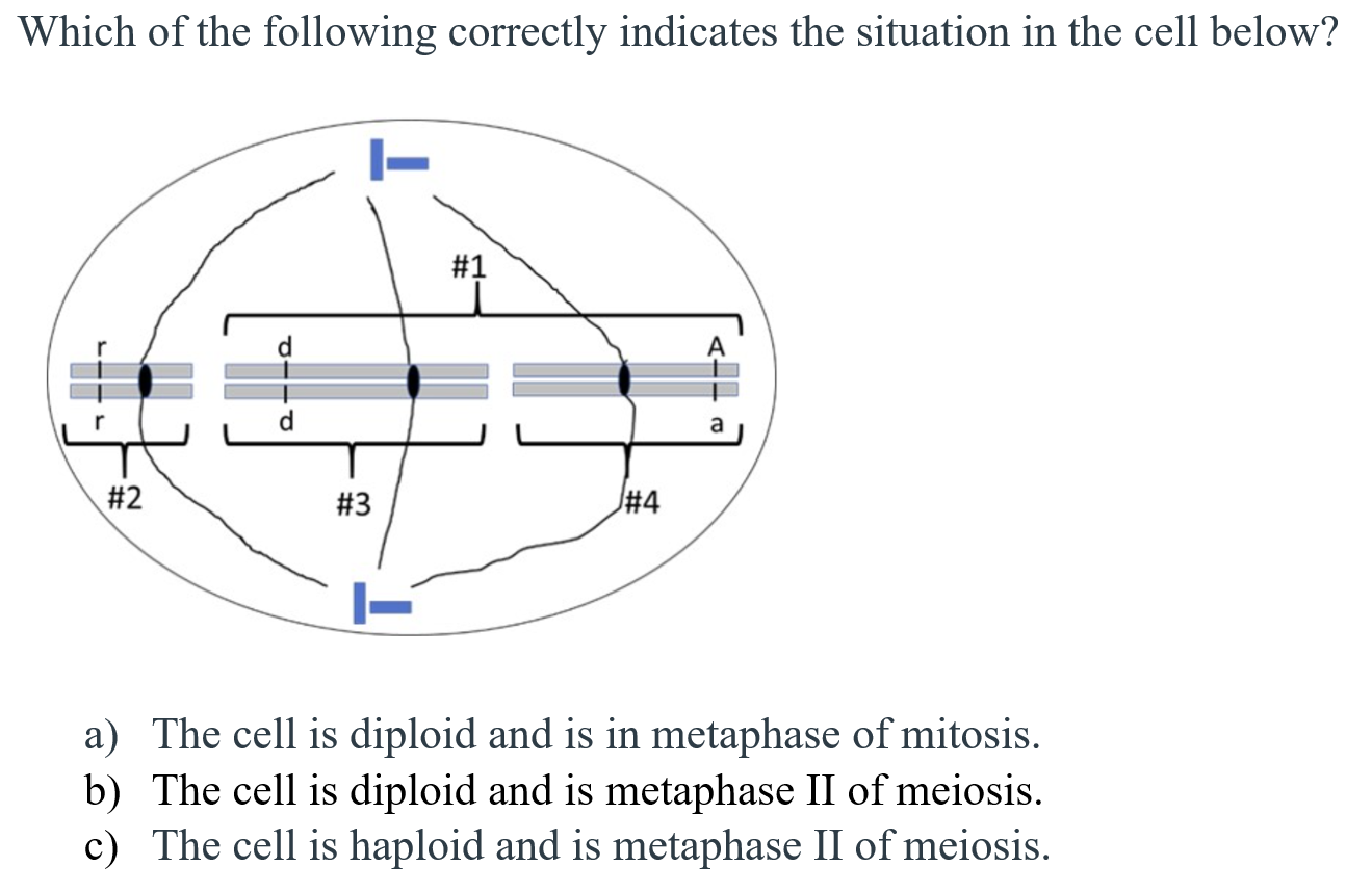 Solved Which of the following correctly indicates the | Chegg.com