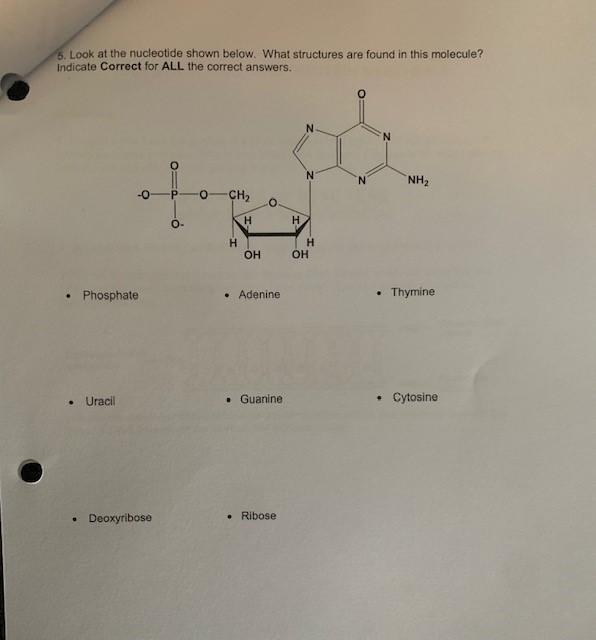 Solved 5. Look at the nucleotide shown below. What | Chegg.com