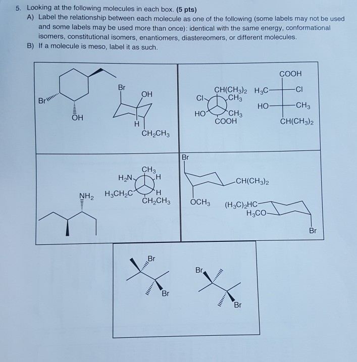 Solved 5. Looking At The Following Molecules In Each Box. (5 | Chegg.com