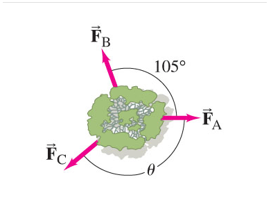 Solved Three forces are applied to a tree sapling, as | Chegg.com
