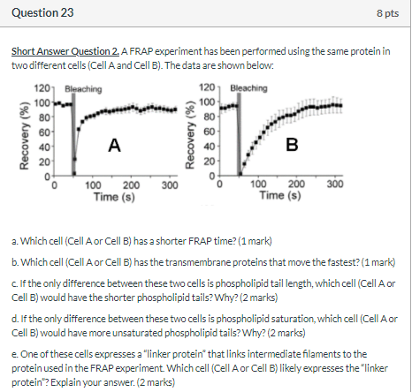 Solved Question 23 8 pts Short Answer Question 2. A FRAP | Chegg.com