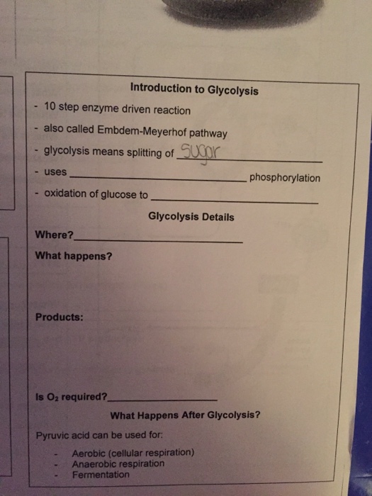 Solved Introduction to Glycolysis 10 step enzyme driven