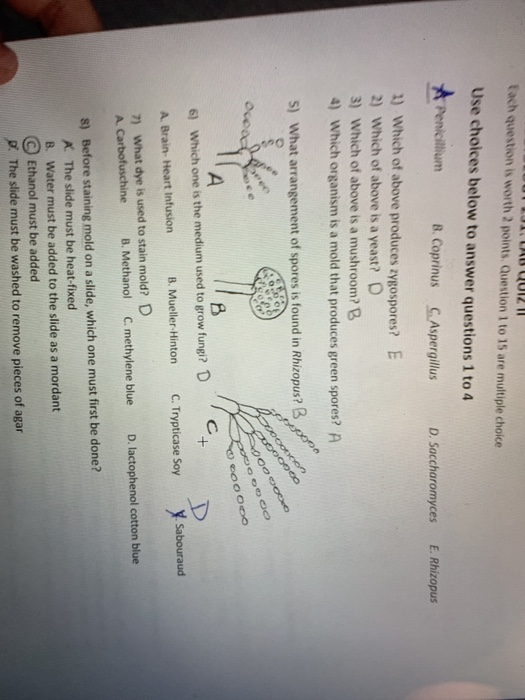 Solved Each question is worth 2 points. Question 1 to 15 are | Chegg.com
