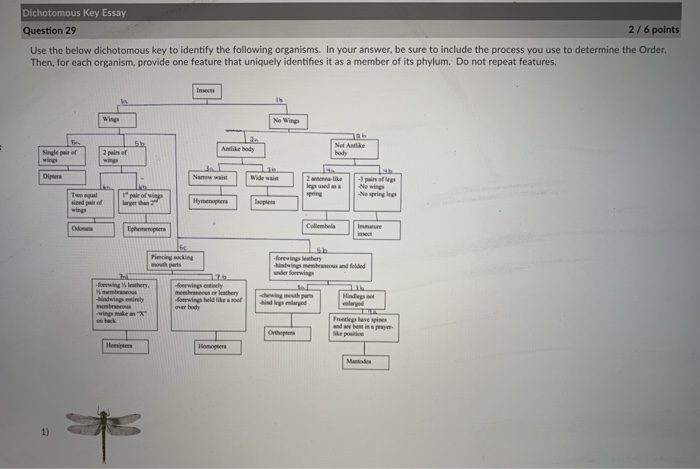 Solved Dichotomous Key Essay Question 29 2/6 points Use the | Chegg.com