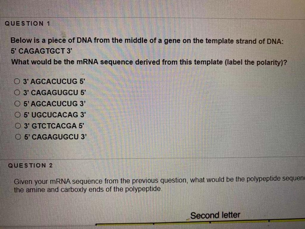 Solved Given your mRNA sequence from the previous quesion, | Chegg.com