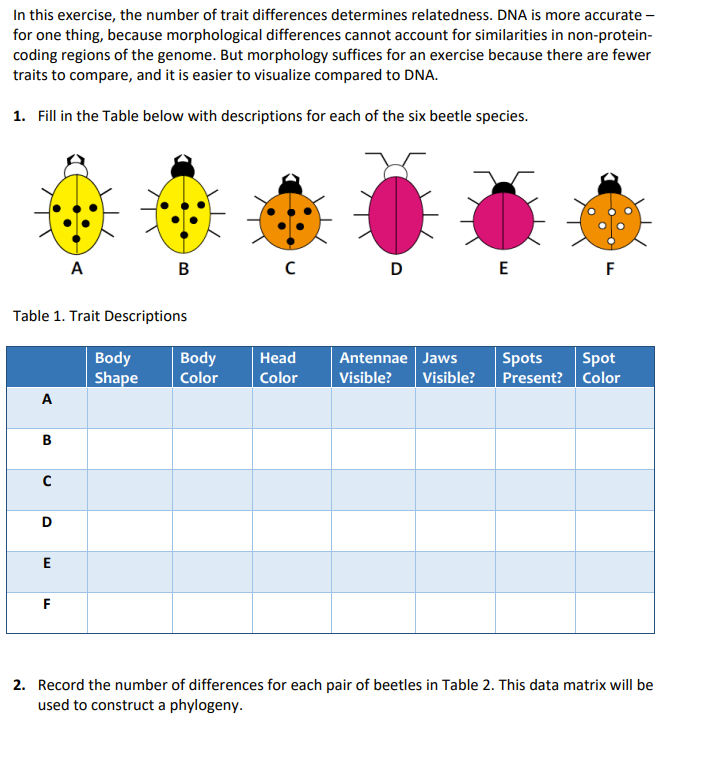 Solved In this exercise, the number of trait differences | Chegg.com