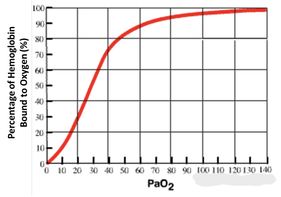 Solved The graph below illustrates hemoglobin oxygen | Chegg.com