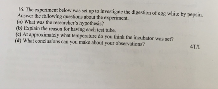 Solved 16. The experiment below was set up to investigate | Chegg.com