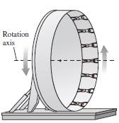 Solved In an amusement park ride called The Roundup, | Chegg.com