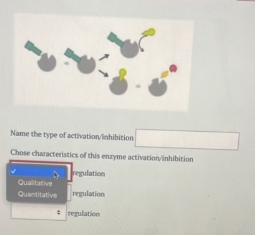 Solved Name the type of regulation from the picture. Also | Chegg.com