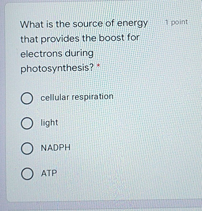 Solved 1 point Plants gather the sun's energy with