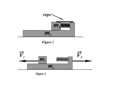 Solved Two blocks and a massless spring are tied together by | Chegg.com