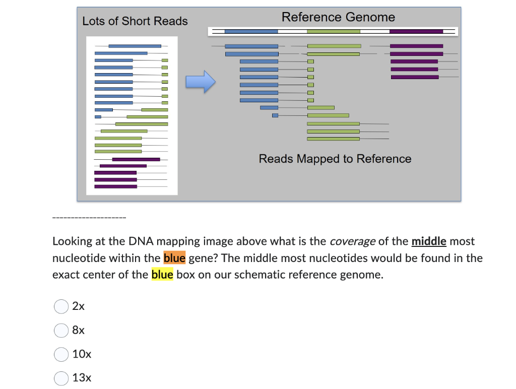 Solved Looking at the DNA mapping image above what is the | Chegg.com