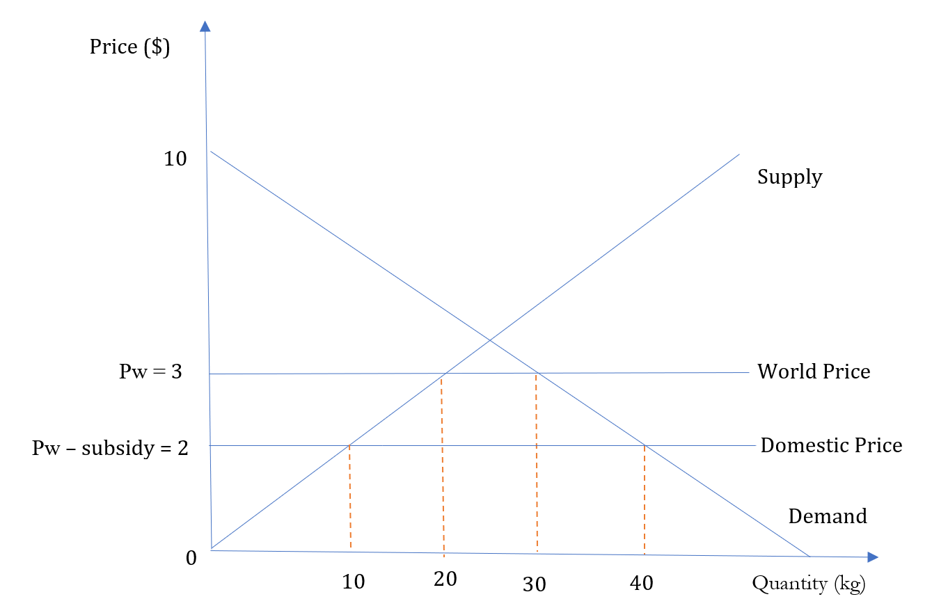 Solved Import Subsidy: An import subsidy means that | Chegg.com
