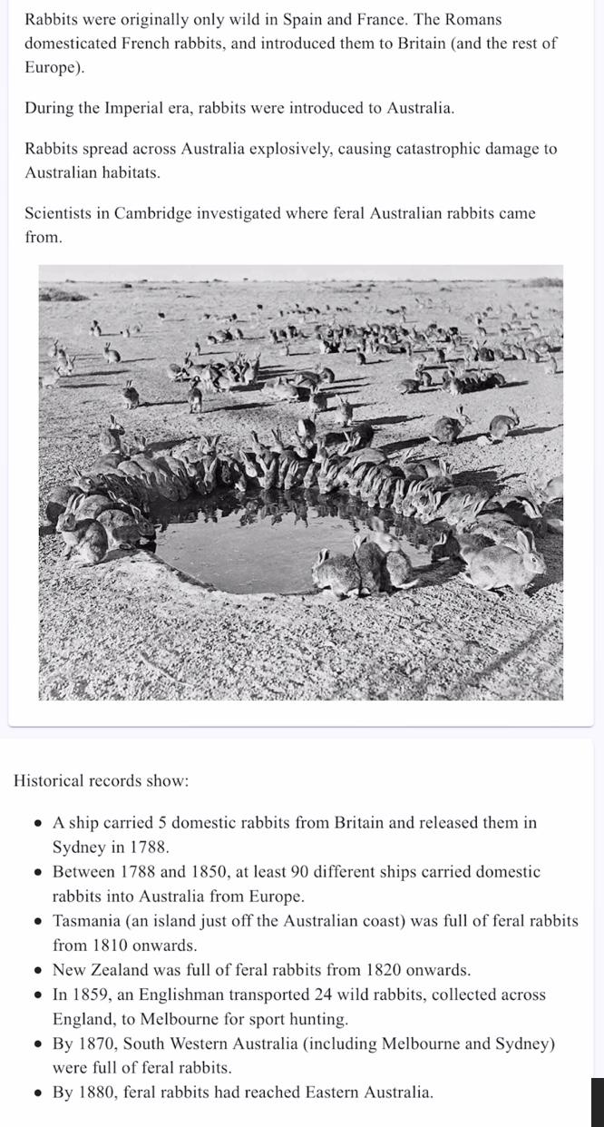 Solved Rabbits were originally only wild in Spain and | Chegg.com