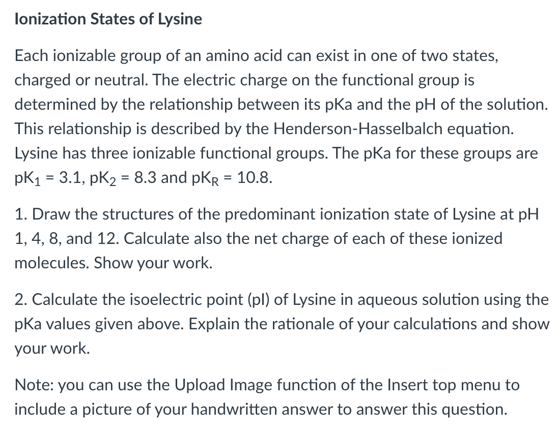 lysine structure charged