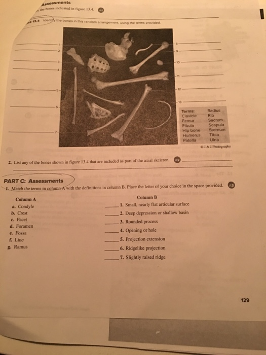 How Are These Structural Differences Related