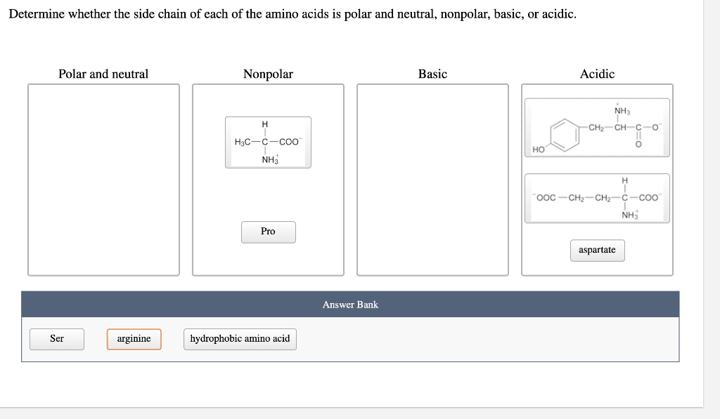 Solved Determine whether the side chain of each of the amino | Chegg.com