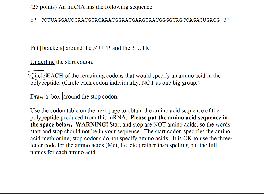 Solved (25 points) An mRNA has the following sequence: | Chegg.com